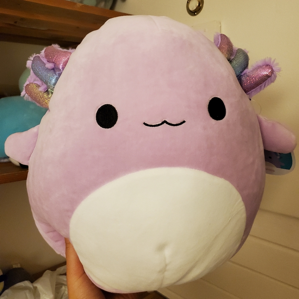 Monica squishmallow nwt